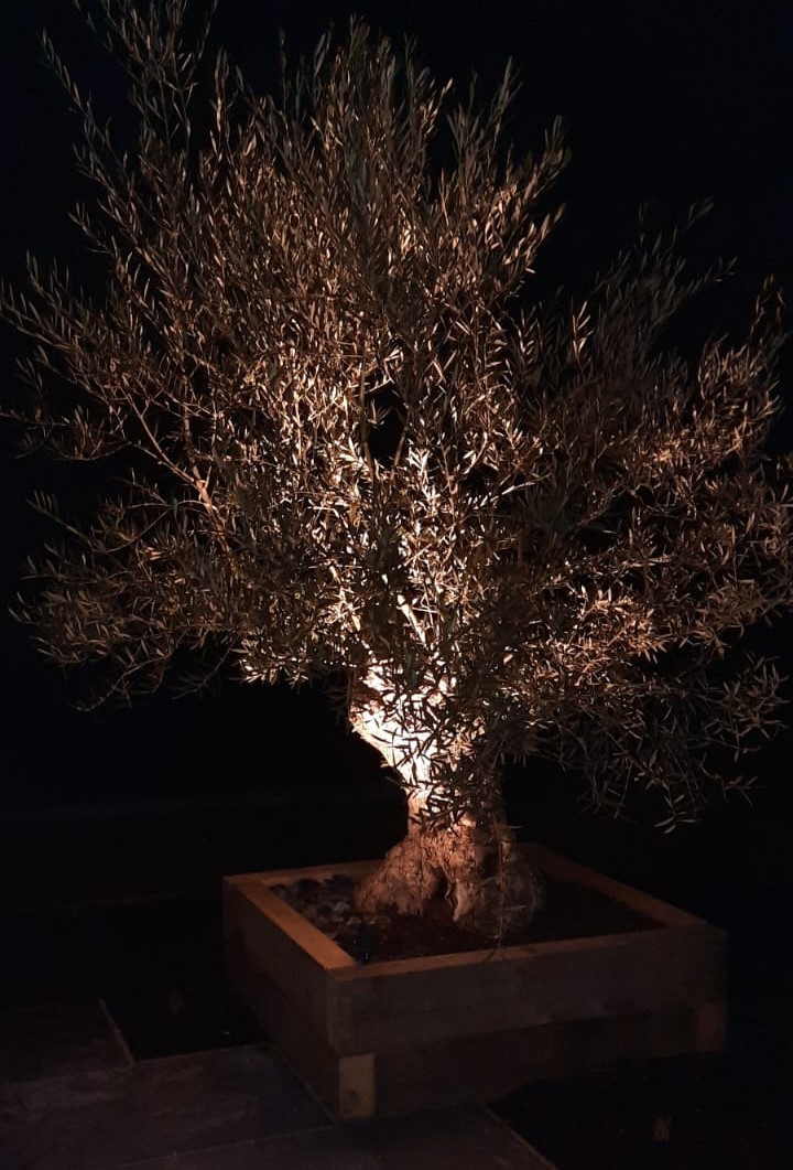 Installation d'un éclairage exterieur (1)